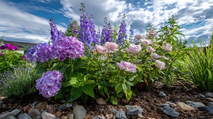 Obraz premium Summer Garden Border With Blooming Hydrangeas, Roses, and Delphiniums in Sunlight and Soft Clouds