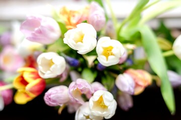 Fototapeta premium Vibrant spring tulip bouquet arrangement