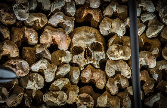 Close-up skull in ossuary bone wall, shallow depth of field, catacombs