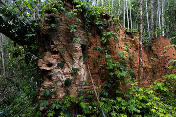 Fototapeta premium Mountaineering in Venezuela. Ruins of old colonial-era haciendas. Spring hiking through the mountains and forests of the Caribbean. The Founding Mothers Trail in Guatire, Miranda State