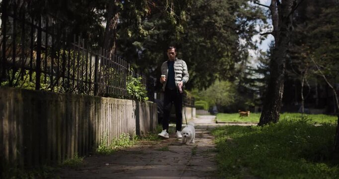 A man strolls down a tranquil walking path with a small dog on a leash, surrounded by green grass and tall trees under a bright blue sky
