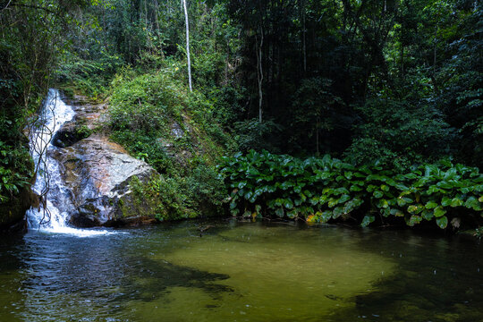Rio Norte river in the lush mountains of Guatire, Miranda, Venezuela. Dense tropical forest and vibrant green vegetation within the Waraira Repano National Park