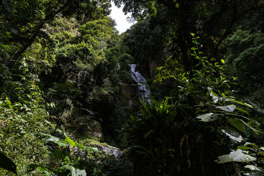 Pristine Tropical Waterfall Cascada Norte in Waraira Repano National Park. Hidden gem along the Rio Norte river in the lush mountains of Guatire, Miranda, Venezuela