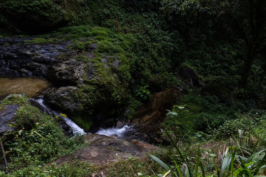Pristine Tropical Waterfall Cascada Norte in Waraira Repano National Park. Hidden gem along the Rio Norte river in the lush mountains of Guatire, Miranda, Venezuela