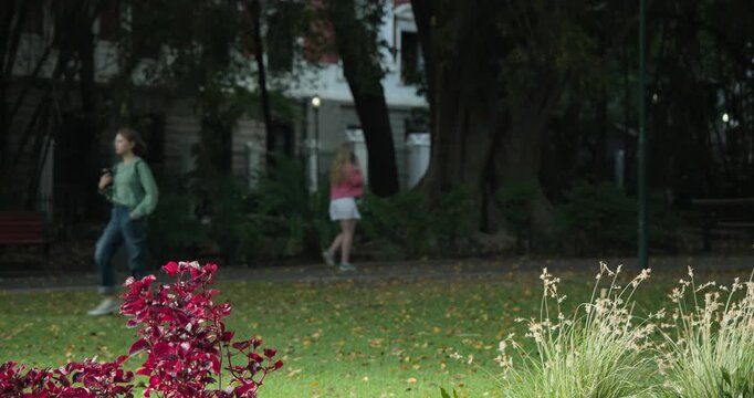 Diverse pedestrians walking across park path triggered by others entering frame checking phones