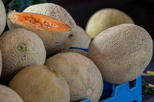 Melons are a bulk supply of sweet, large, round tropical fruit. The true melon has a ribbed rind and a netted yellow and green. Known as rockmelon or muskmelon, they are sold in grocery stores. 