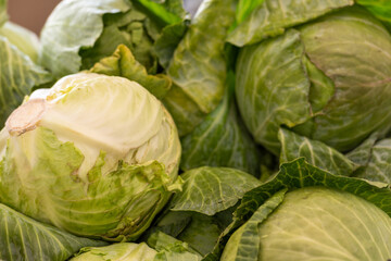 Fototapeta premium Multiple heads of organic grown green cabbage piled in bins at a farmers' market for sale. The raw vegetable has large, pale green, crinkled leaves forming the whole ripe edible root plant hearts. 