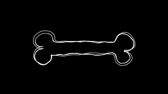 骨の落書き線画イラスト。線が動く手描きのアイコン動画。ループする4Kアニメーション