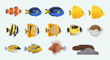 Collection of various colorful fish species. © khusnul