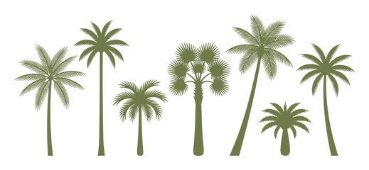 Obraz premium Collection of palm tree silhouettes in various forms, green monochrome illustrations suitable for tropical designs