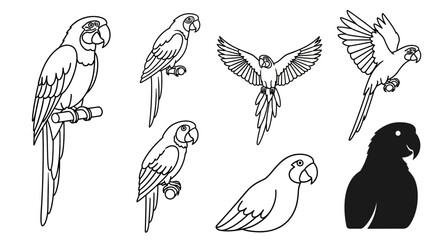 Collection of parrots in various poses. © khusnul