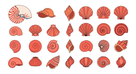 Collection of various seashells on display. © MUHRODIN