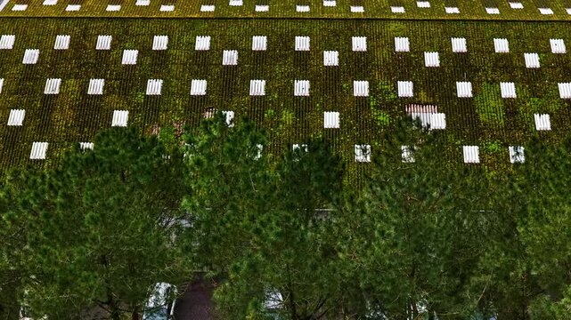 Green roof creating an eco-friendly cover on a commercial building surface, aerial view