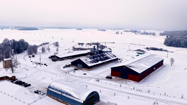 Aerial drone parallax shot over traditional Latvian farm complex in winter showing red blue barns silos grain elevators machinery sheds parked cars and vast snow-covered fields under overcast sky