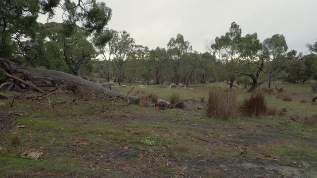 Landscape Of Rifle Range Lookout In Bethany, Australia - Wide Shot