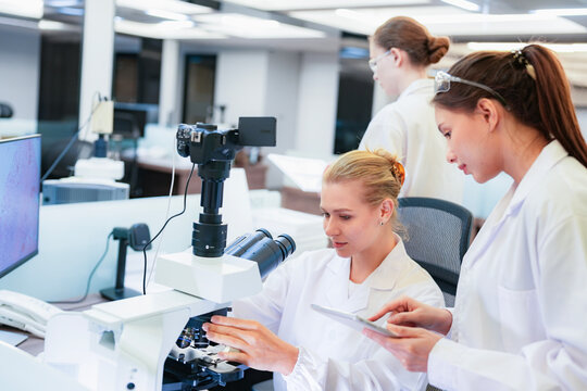 Diverse team of female scientists working in busy digital pathology lab. Researchers analyzing histology slides using microscope, tablet, and visual inspection for medical diagnosis.