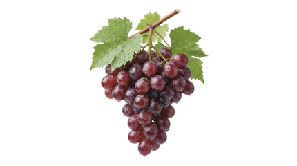 Fototapeta premium Fresh red grape cluster with green leaves on a white background for healthy eating and fruit market themes