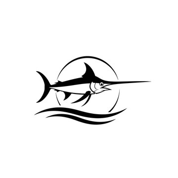 Black and white marlin fish swimming.