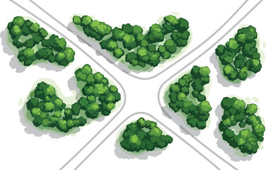 Top-down aerial view vector illustration of a green park with various tree clusters and bushes, ideal for architectural plans, landscape design, city maps, and environmental graphics