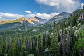 Naklejka premium Scenic Rocky Mountain Landscape with Evergreen Hillside in Rocky Mountain NP, Colorado