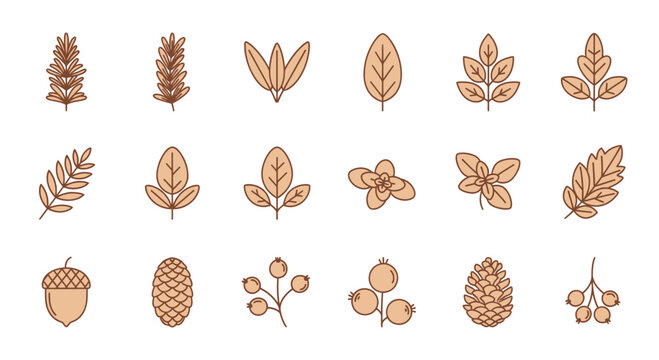Stylized botanical collection leaves acorns pinecones and berries