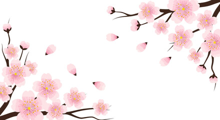 Pink cherry blossom sakura branch with falling petals on white background. Spring floral vector illustration for greeting card and wedding design with copy space. © Anang