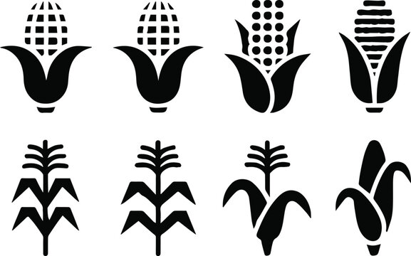 corn stalk silhouette icons ear cob kernel farm crop vector set