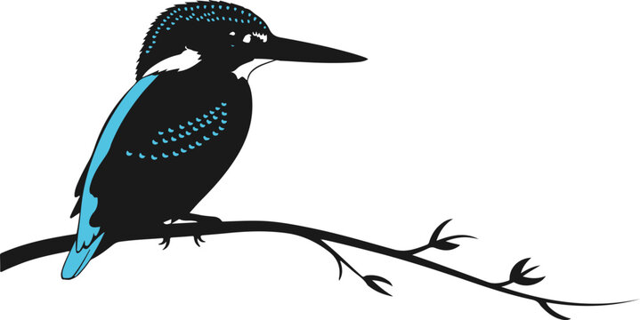 Vector kingfisher bird icon on branch