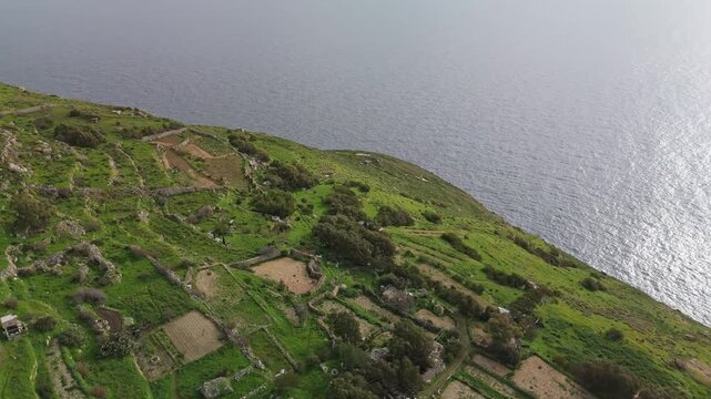 Dingli Cliffs in Malta, with terraced farmland, green fields, and stone walls, stretch along the Mediterranean coastline in a panoramic drone view, capturing the rural landscape and natural terrain.