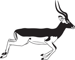 Vector black and white antelope illustration © Like