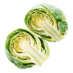 Obraz premium which is pale green with tightly packed leaves. full length isolate on transparent background