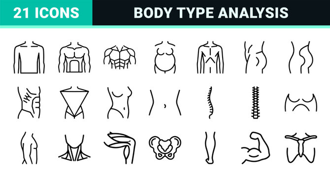 Human Body Types and Physiology Silhouette Set: Minimalist Monoline Outline Icons for Medical and Fitness UI Design Analysis.