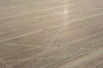 Fototapeta premium Eastville aerial view of farmland ground patterns and soil marks, Victoria Australia