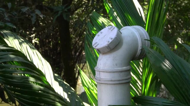 White plastic pipe with angled elbow in lush green tropical foliage
