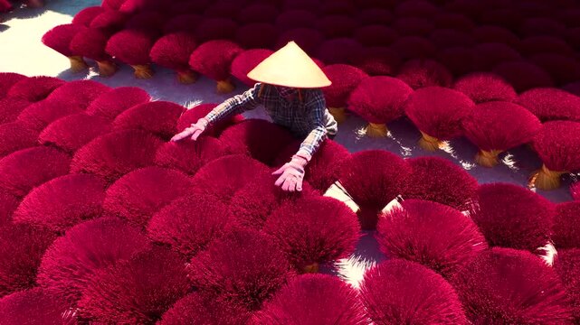 Vibrant Red Incense Sticks Arranged in Circular Patterns Drying in Quang Phu Cau Village Vietnam
