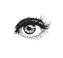 Obraz premium eyelid logo vector