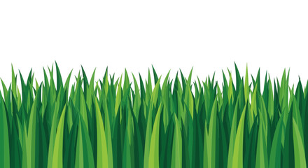 Obraz premium Vibrant green grass blades border vector illustration isolated on white background