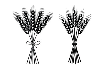 Wheat stalk bunches silhouette icon with black and white © Sadek