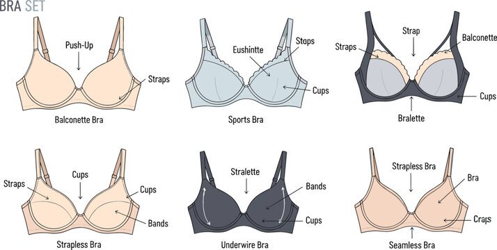 Women bra types vector set with labeled lingerie styles including push up balconette sports strapless seamless and underwire bras fashion guide illustration