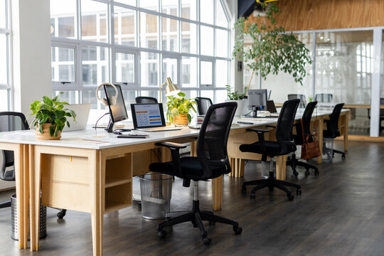 Light wood desks containing laptops, mesh chairs and potted plants in bright open-plan office space