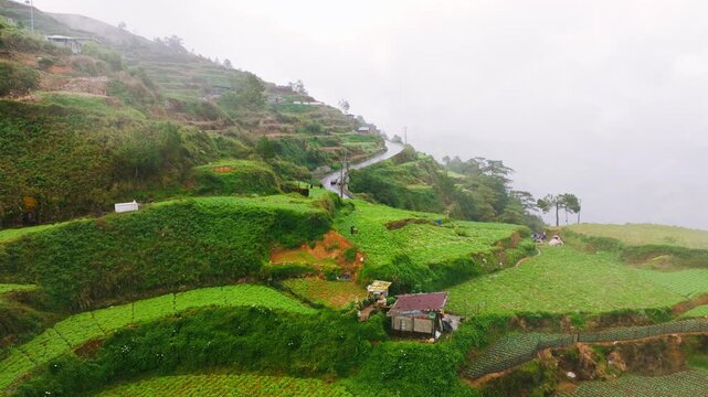 Aerial cinematic view of rainy mountain farmland and foggy hills