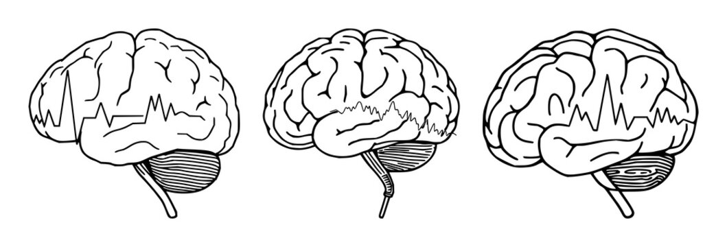 Brain set with continuous line drawing of a minimalist brain with electrical pulses, cognitive enhancement theme featuring thin line, white background and illustration vector