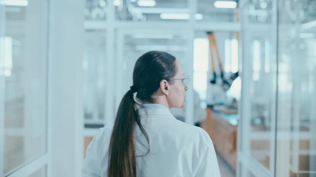 Female scientist walking through glass corridor and observing workspace of modern laboratory. Back view