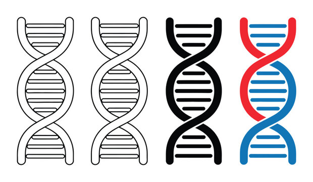 DNA Double Helix Structure Vector Illustration