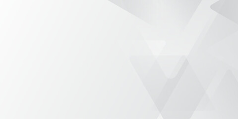 Fototapeta premium Abstract elegant triangle. White silver grey geometric universal background. modern design background with geometric shape. abstract graphic design banner pattern background template. Vector .Abstract