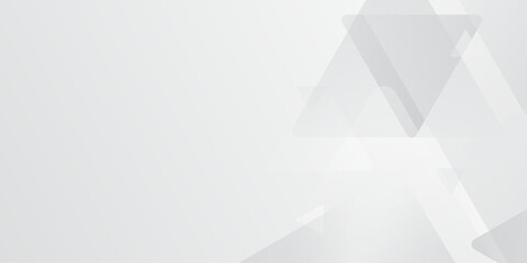 Fototapeta premium Abstract elegant triangle. White silver grey geometric universal background. modern design background with geometric shape. abstract graphic design banner pattern background template. Vector .Abstract
