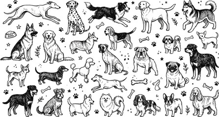 Obraz premium Collection Of Adorable Cartoon Dog Characters Featuring Various Breeds Such As Corgi Shiba Inu Pug And Dalmatian Isolated On White Background Vector