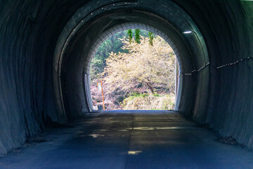 トンネルの先の明るい春の景色 © kimkimchin