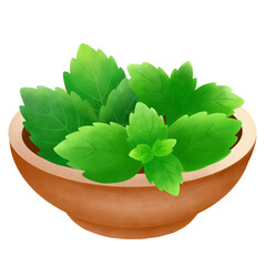 Fresh mint leaf in wood bowl © chilhin