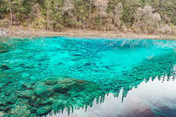 Fototapeta premium Scenery Jiuzhaigou national park in Sichuan, China. Beautiful Colorful Pond in Autumn season. Famous Landmark and Vacation near Chengdu, China. Asia travel concept